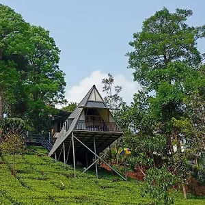 Stream View Vythiri