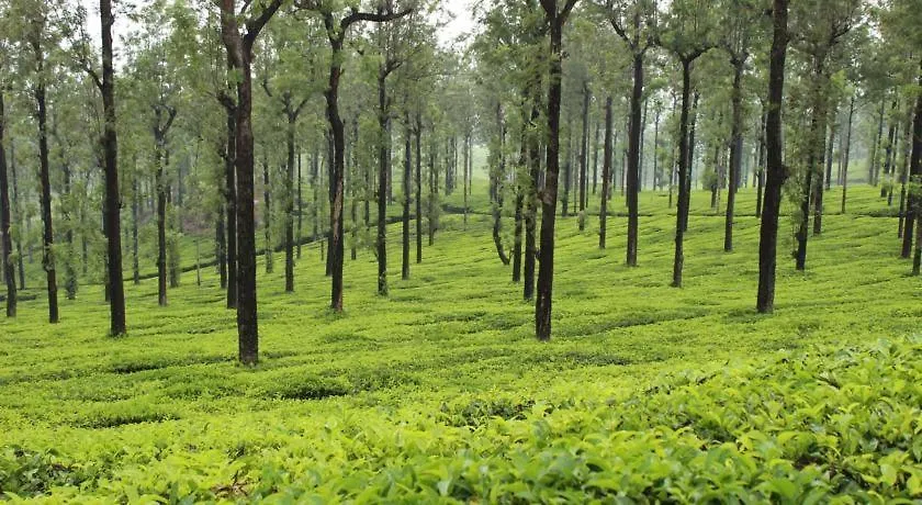 Rest In Nature Vythiri