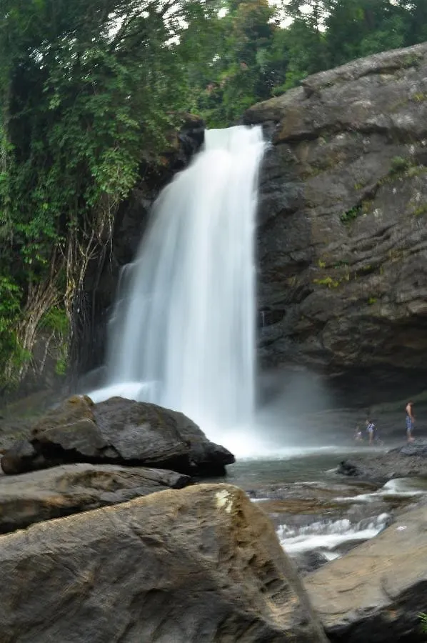 Resort Rest In Nature Vythiri India